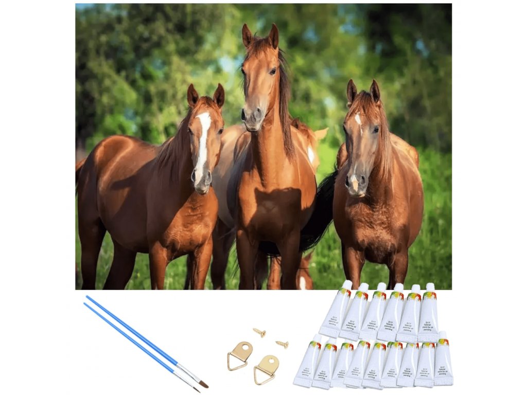 Bájos festés számok szerint - lovak